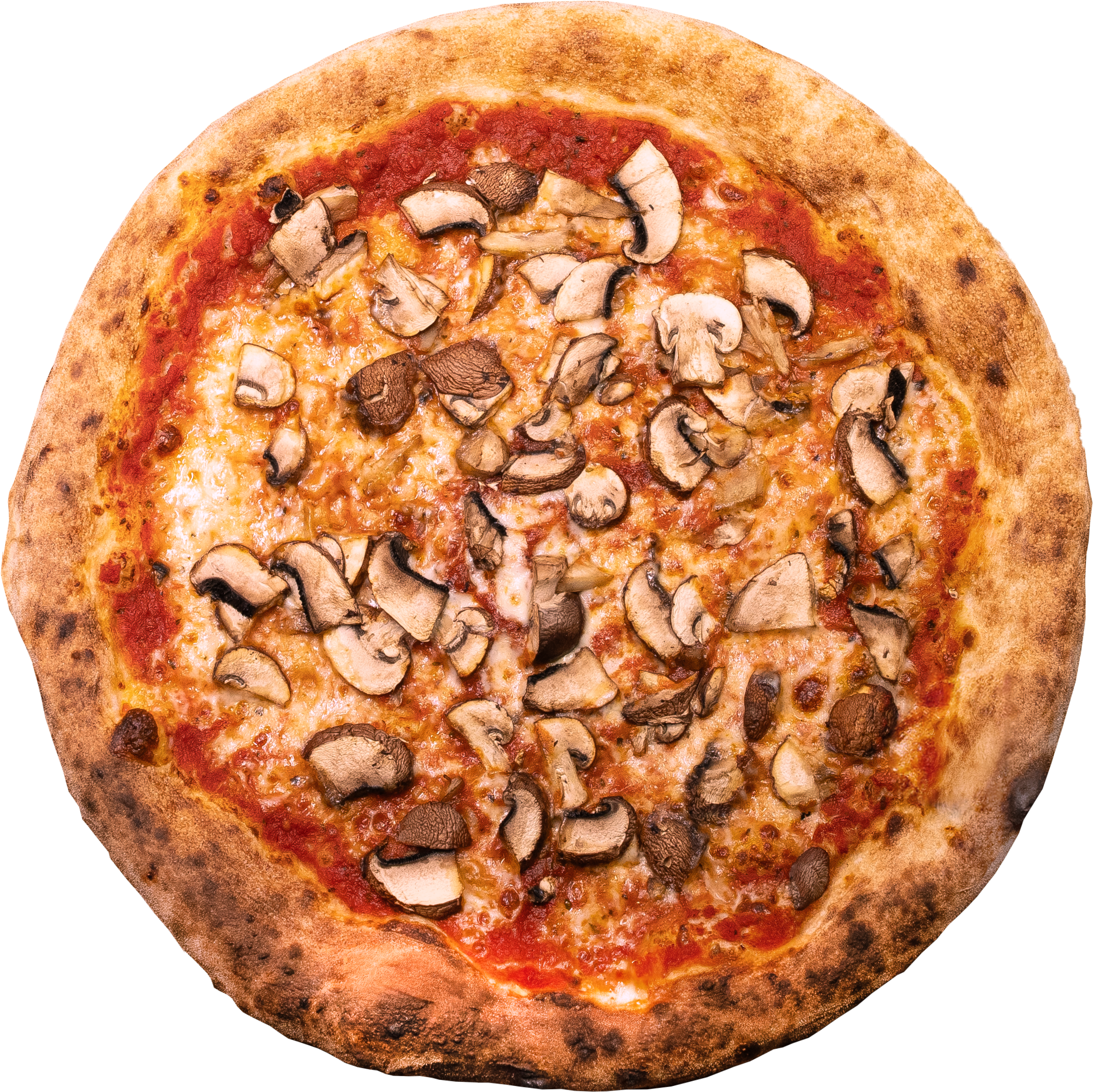 Funghi La Stella Foodtruck – Premium Pizza & Event Catering